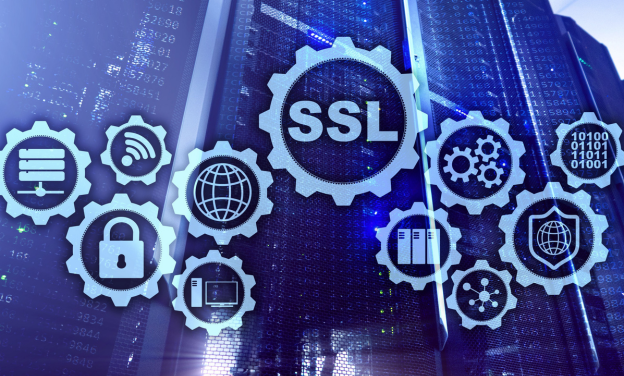 Get an SSL certificate