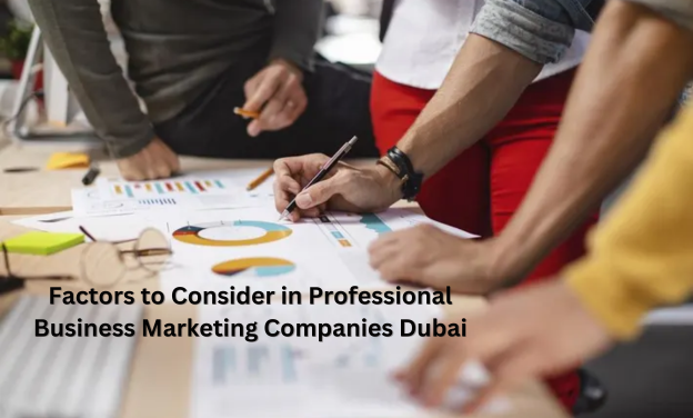 Factors to Consider in Professional Business Marketing Companies Dubai